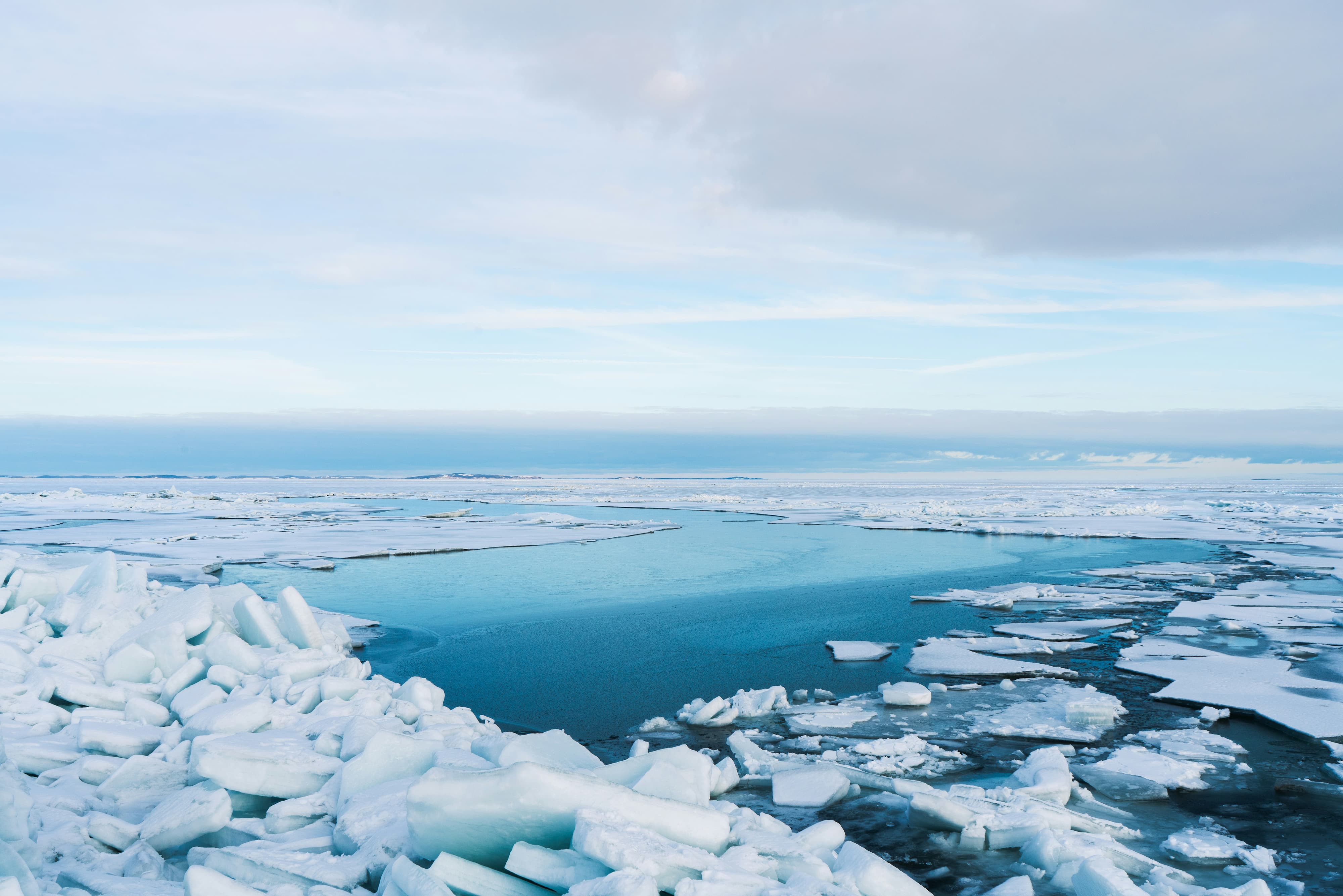 Arctic sea ice with meltwater pools