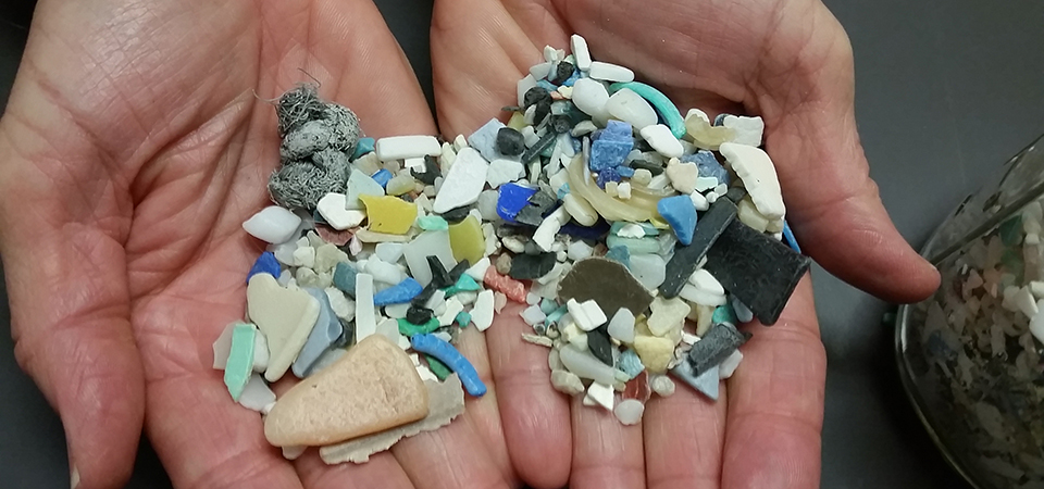Handful of microplastic fragments collected from the environment